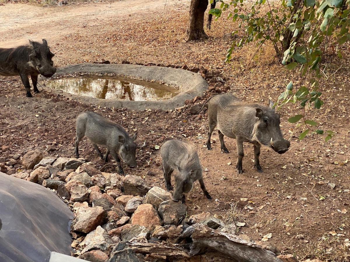 Jackals Dream - Self Catering Villa Bordering Kruger National Park Marloth Park Εξωτερικό φωτογραφία